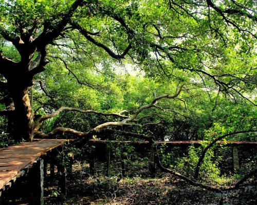 Coringa Wildlife Sanctuary